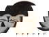 item-210607280=1