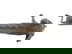 item-210607282=6