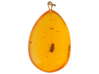 PREHISTORIC HANDCRAFTED AMBER PENDANT WITH FLY