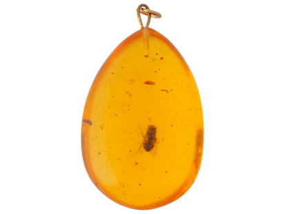 PREHISTORIC HANDCRAFTED AMBER PENDANT WITH FLY: An ancient prehistoric polished amber pendant with a fly of the period inside. Circa 12 million y.o. An elongated teardrop shaped pendant in a bright honey color with modern gold tone fittings. Ancien