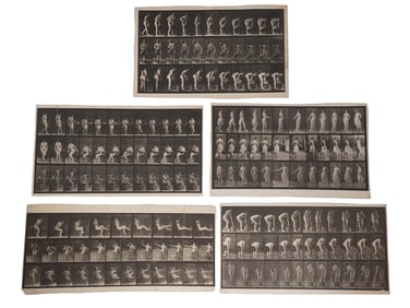 ENGLISH MOTION PHOTOS BY EADWEARD MUYBRIDGE 1880S