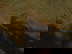 item-210704756=4