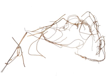 SONO OSATO CONTEMPORARY AMERICAN WIRE SCULPTURE METAL