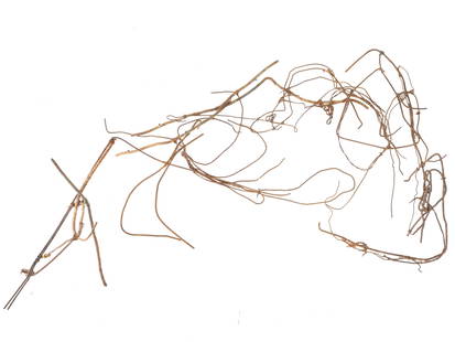 SONO OSATO CONTEMPORARY AMERICAN WIRE SCULPTURE METAL: Mixed media artwork by Sono Osato, born 1960, a contemporary American artist known for her interest in found objects. This lot features an abstract sculpture made of wire. Undated. Osato's work can be