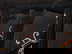 item-210704997=5