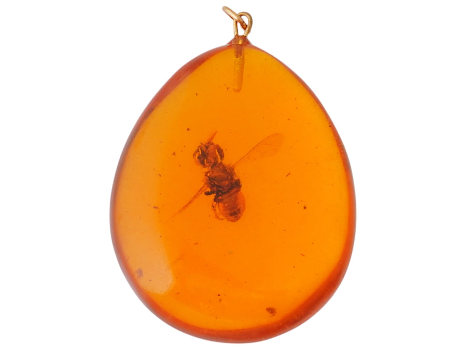 ANCIENT PREHISTORIC AMBER PENDANT WITH BEE INSECT: An ancient prehistoric tear shaped amber pendant with a bee insect perfectly preserved inside. 12 million years old. The amber has a warm, golden orange color, and the insect is clearly visible. A sma
