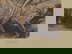 item-210896578=4