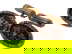item-210896700=2