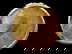 item-210896772=6