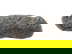 item-210896811=2