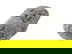 item-210896811=4
