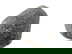item-210896812=3