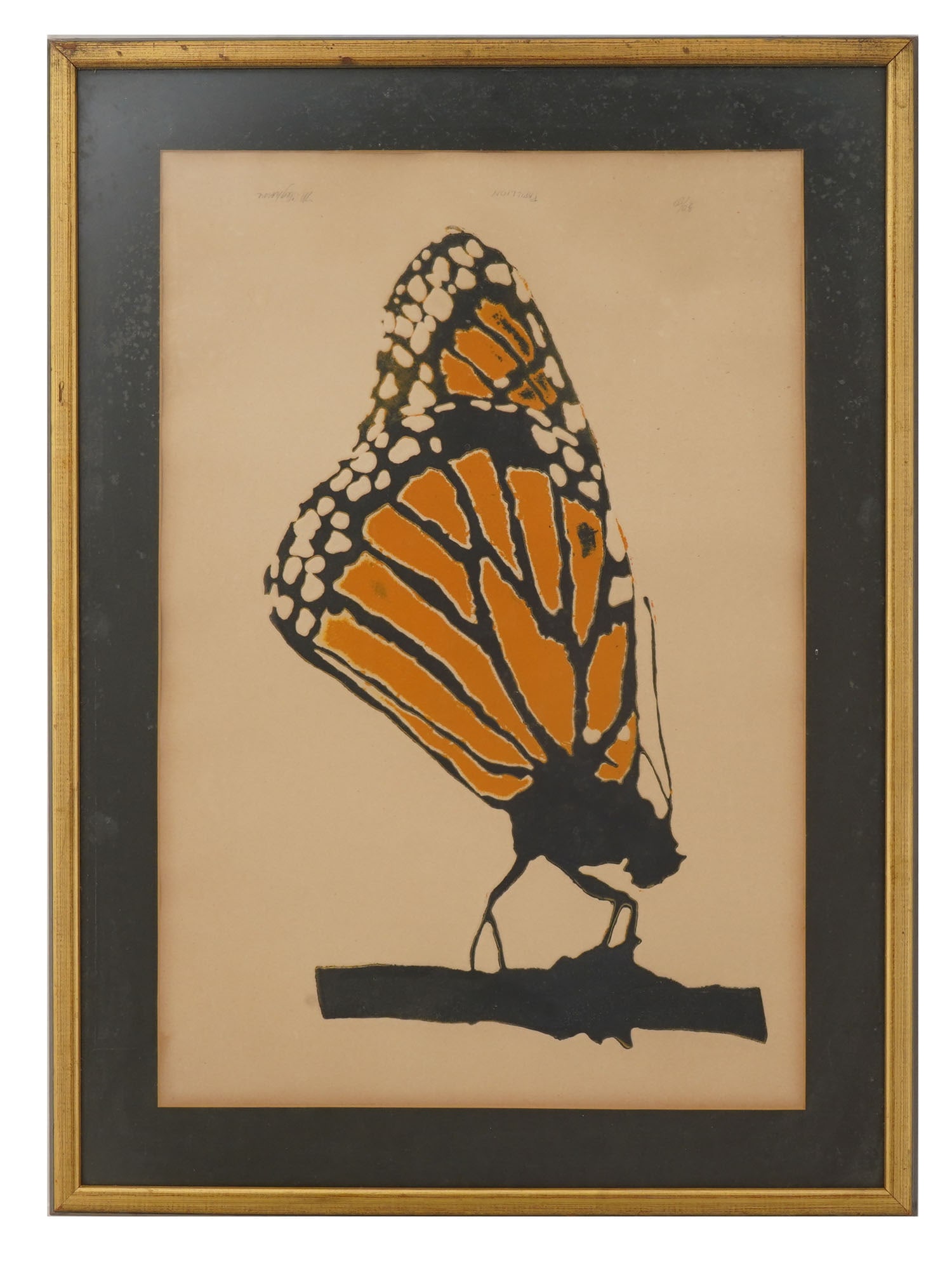 VINTAGE BUTTERFLY COLOR LITHOGRAPH SIGNED (1 of 5)