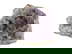 item-210932900=1