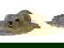 item-210933105=4