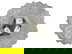 item-210933105=6