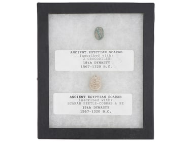 ANCIENT EGYPTIAN SCARAB AMULETS IN DISPLAY CASE