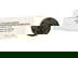item-210933310=1