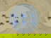 item-211417709=8
