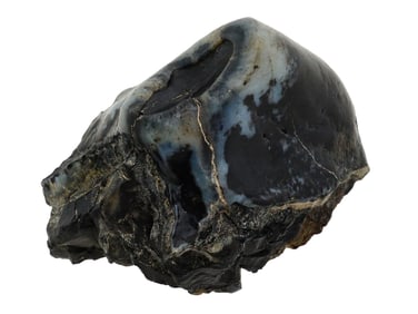 RARE POLISHED FOSSIL MEGALODON SHARK TOOTH