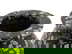 item-211417782=8