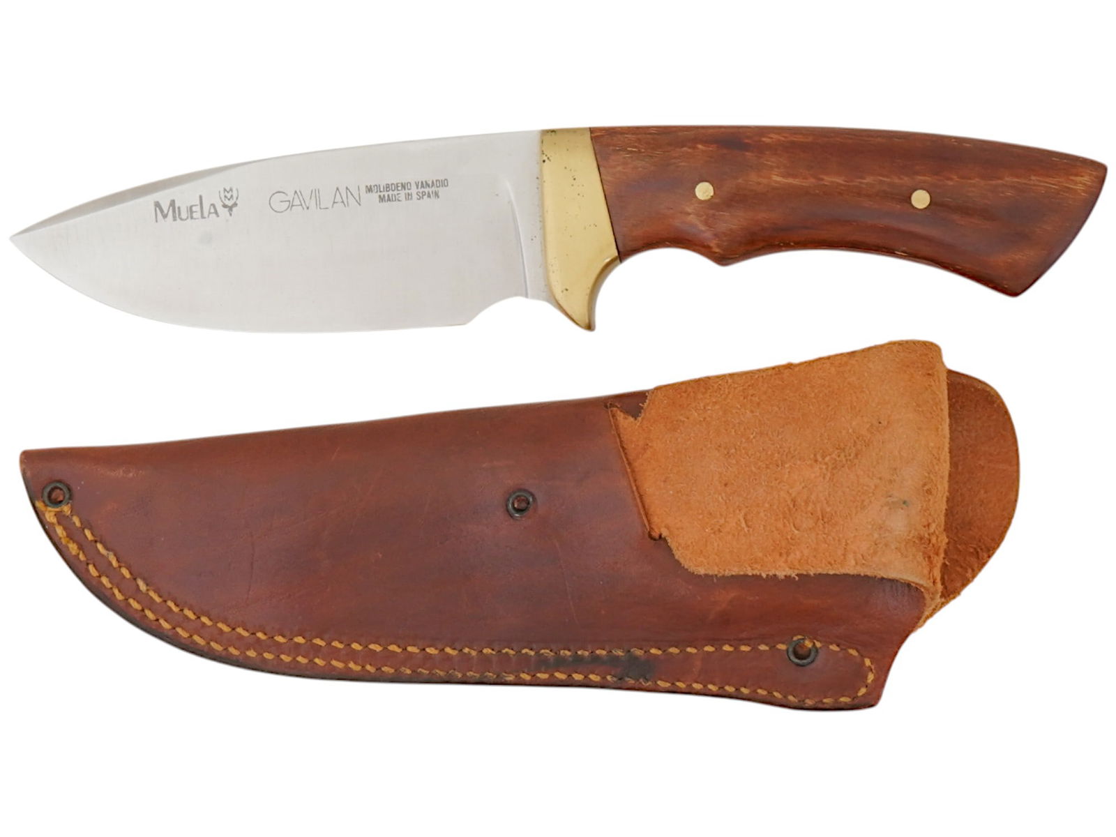 MUELA GAVILAN HUNTING KNIFE IN LEATHER SHEATH (1 of 9)