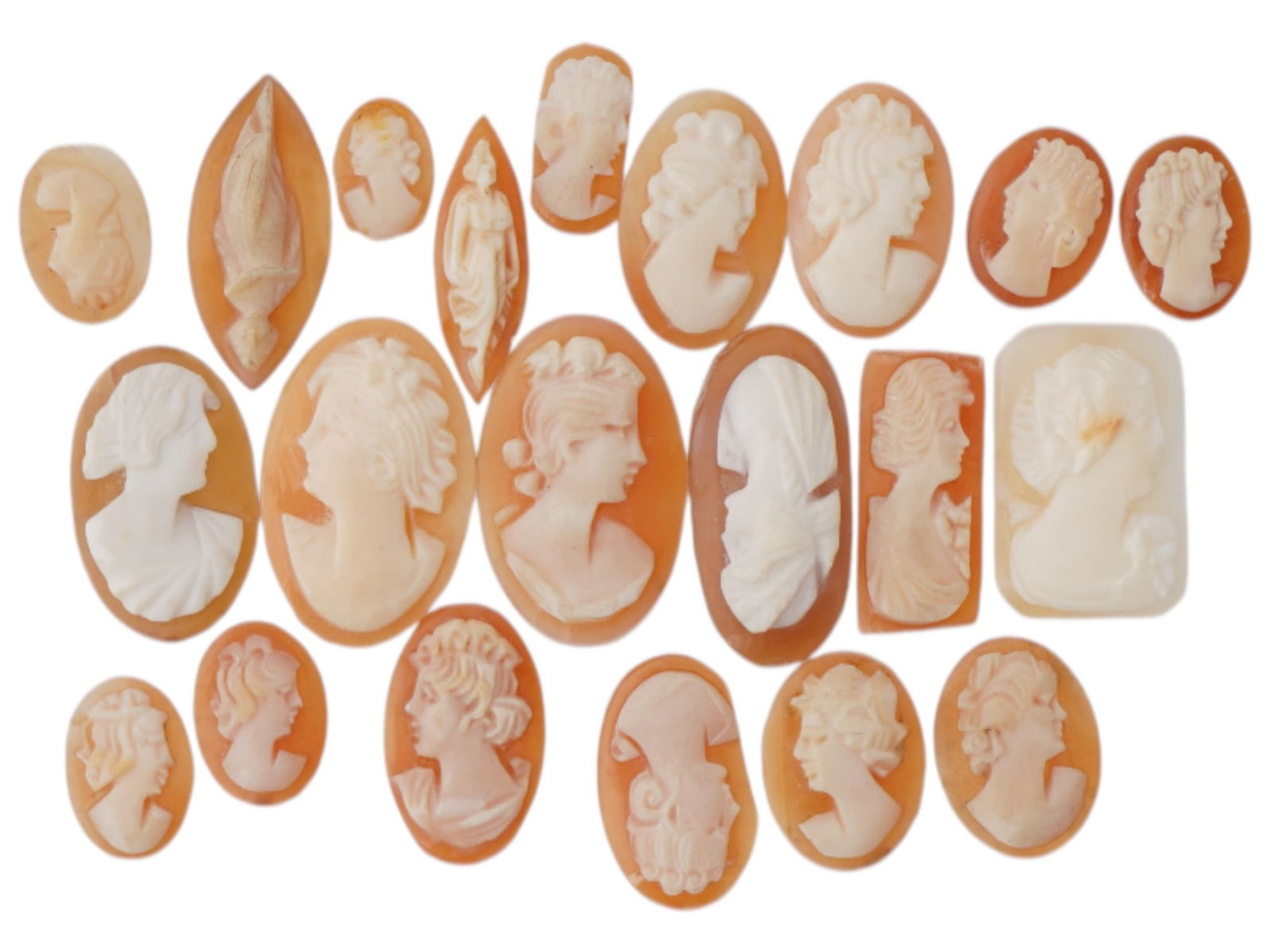 COLLECTION OF PORTRAIT CARVED SHELL CAMEO MEDALLIONS (1 of 4)
