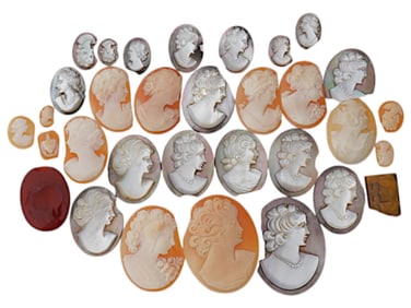 COLLECTION OF PORTRAIT CARVED SHELL CAMEO MEDALLIONS