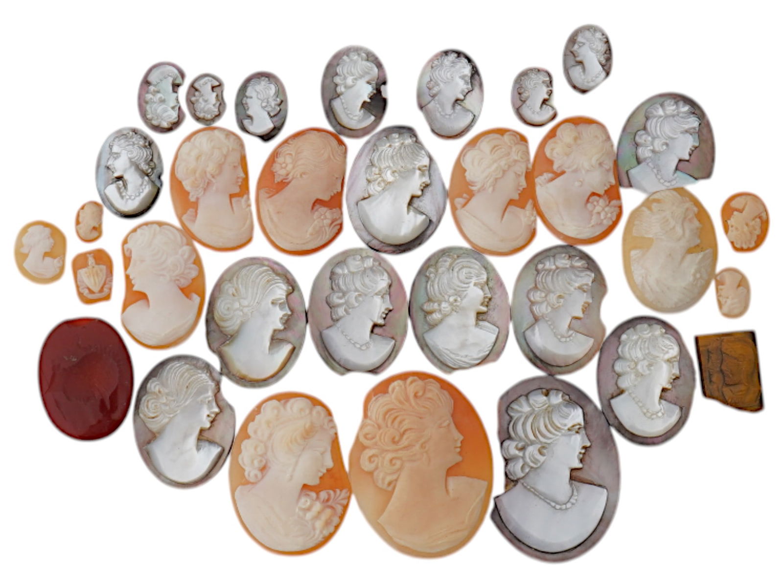 COLLECTION OF PORTRAIT CARVED SHELL CAMEO MEDALLIONS (1 of 4)