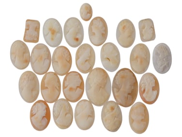 COLLECTION OF PORTRAIT CARVED SHELL CAMEO MEDALLIONS