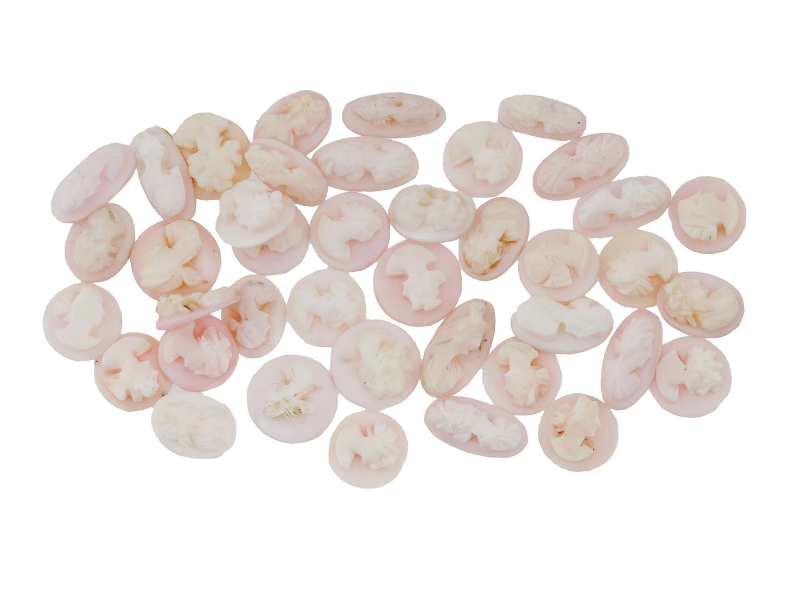 LOT OF PORTRAIT CARVED CORAL SHELL CAMEO MEDALLIONS (1 of 3)