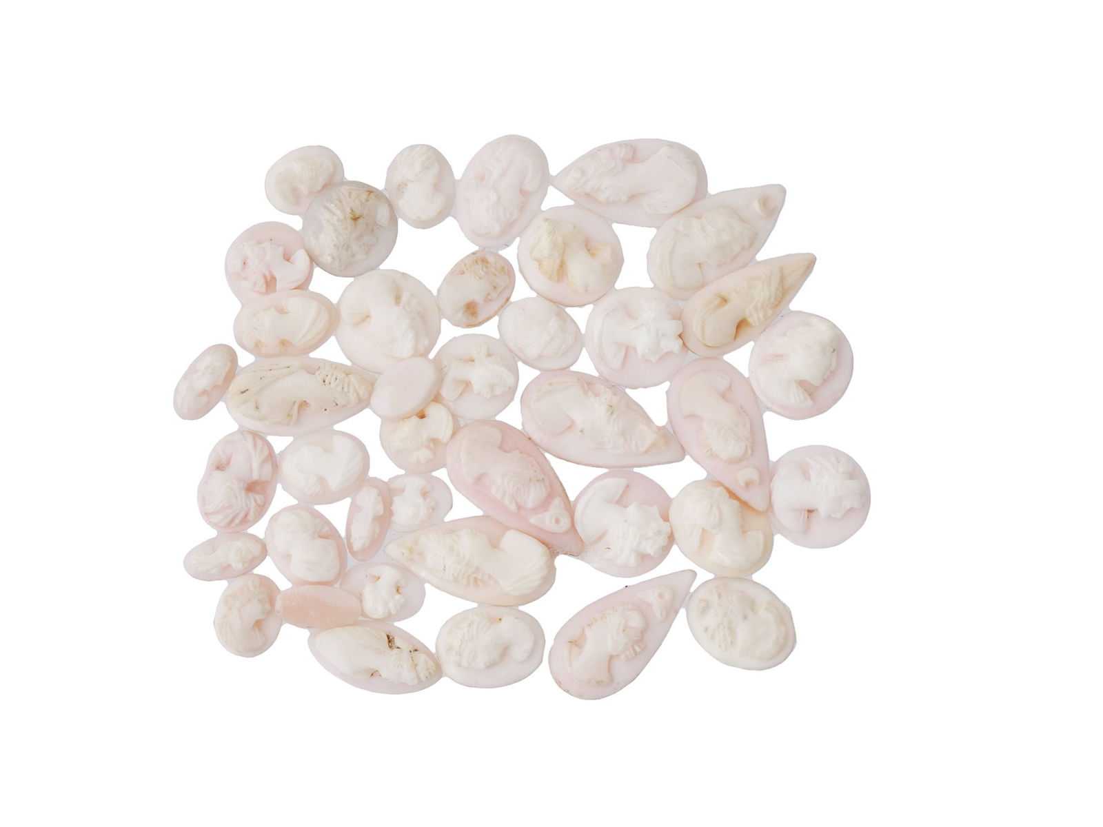 LOT OF PORTRAIT CARVED CORAL SHELL CAMEO MEDALLIONS (1 of 3)