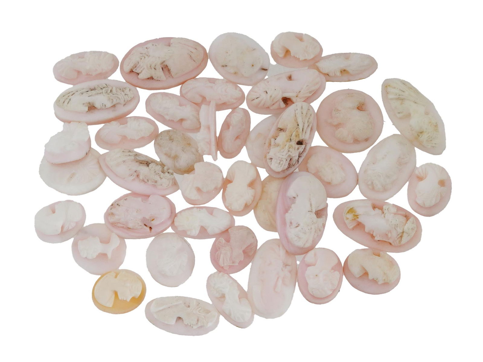 LOT OF PORTRAIT CARVED CORAL SHELL CAMEO MEDALLIONS (1 of 3)