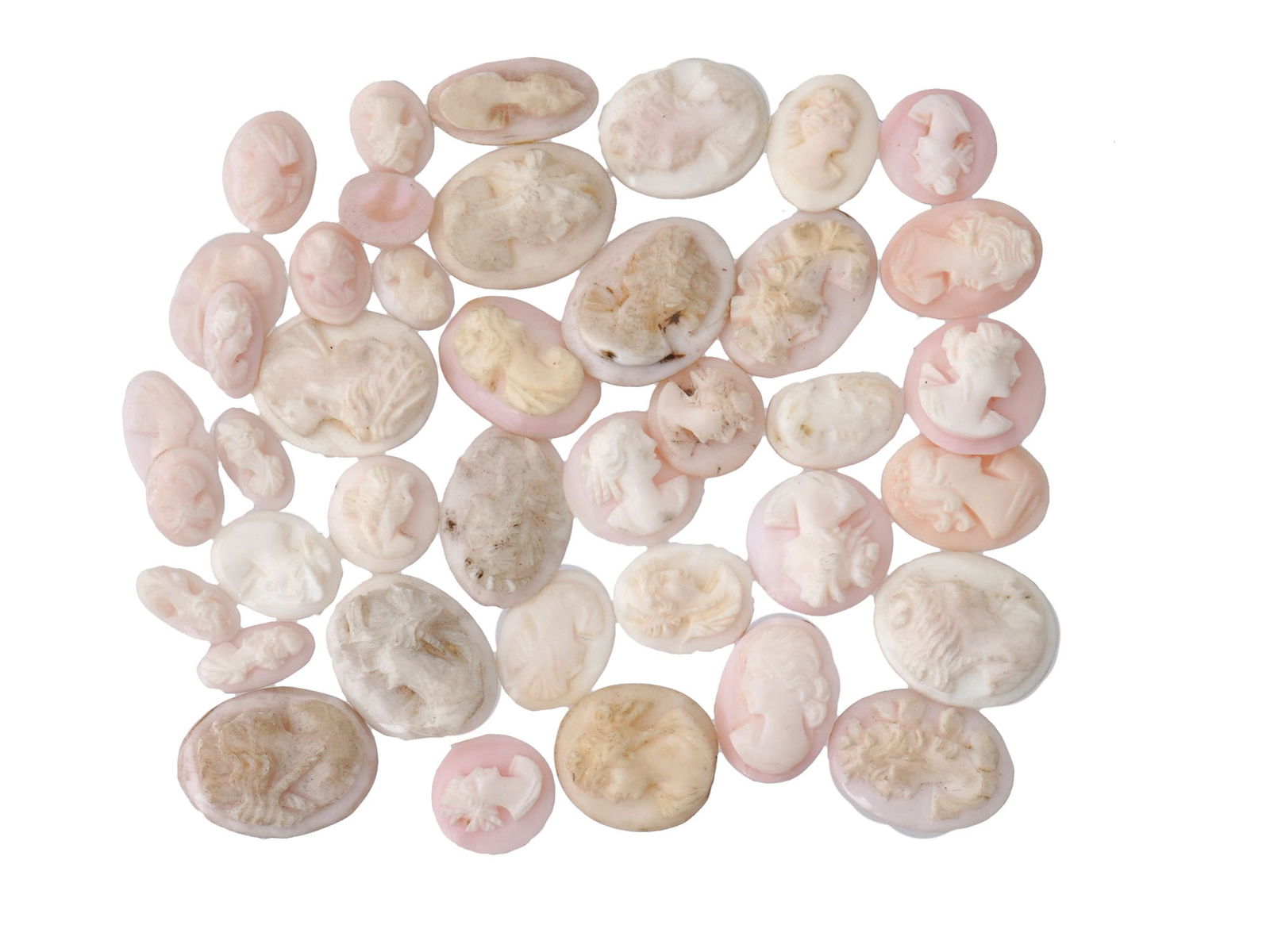 LOT OF PORTRAIT CARVED CORAL SHELL CAMEO MEDALLIONS (1 of 3)