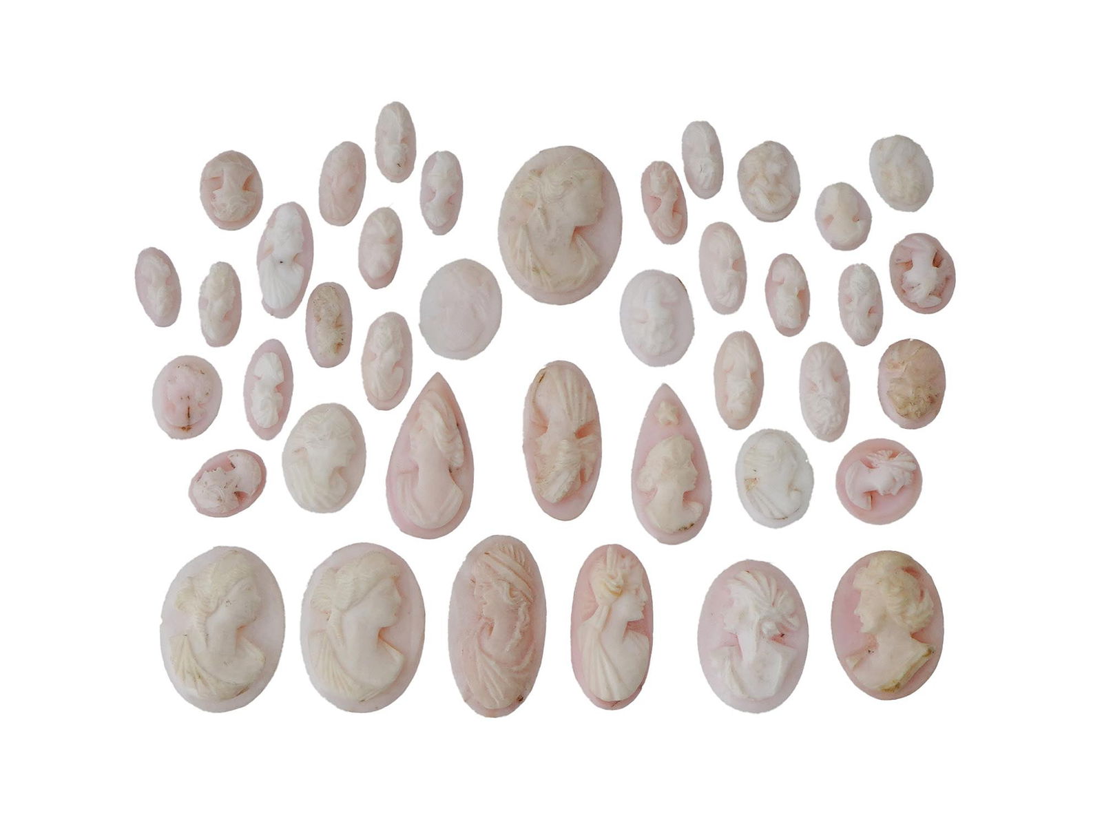 LOT OF PORTRAIT CARVED CORAL SHELL CAMEO MEDALLIONS (1 of 4)