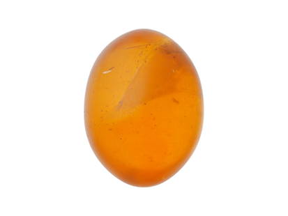 PRE HISTORIC EGG SHAPED AMBER WITH INSECT INCLUSION: A prehistoric, egg-shaped amber specimen dating to approximately 12 million years ago, containing a well-preserved insect inclusion. This natural fossil captures a moment frozen in time, offering valu