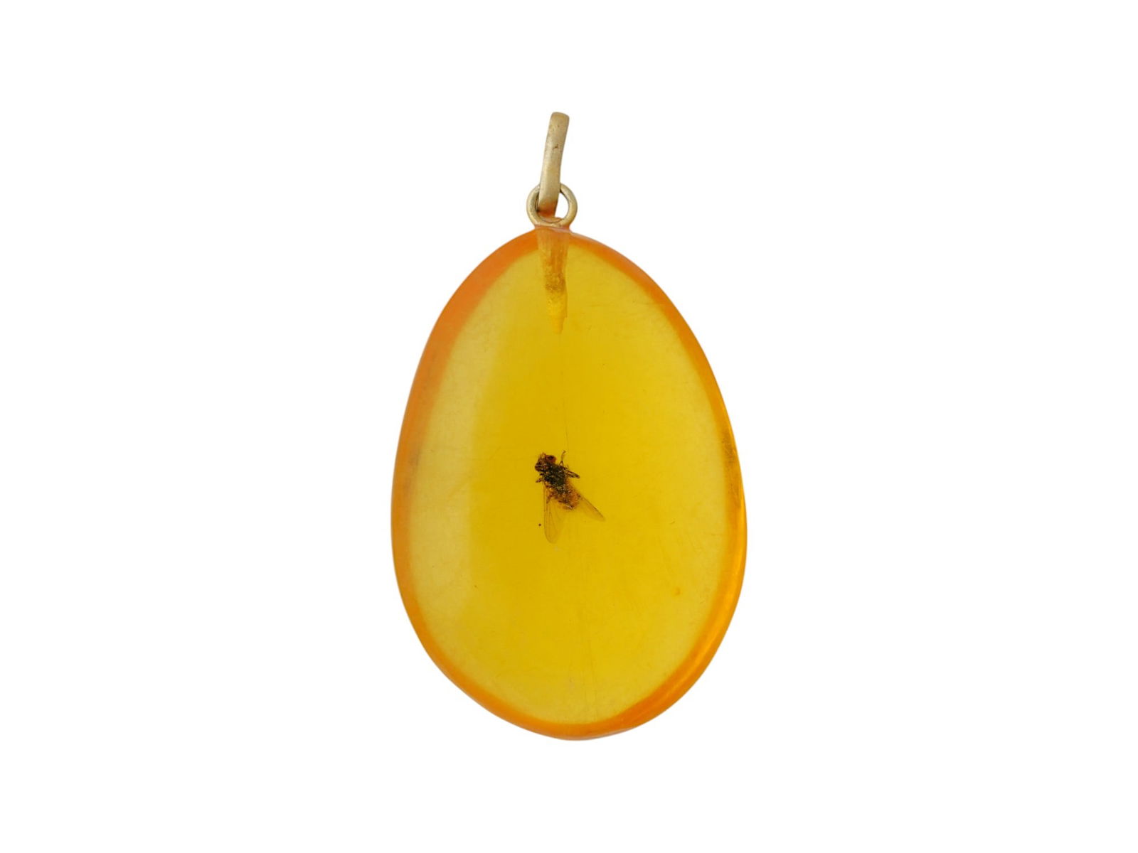 PRE HISTORIC AMBER PENDANT WITH FLY INSECT SPECIMEN (1 of 5)