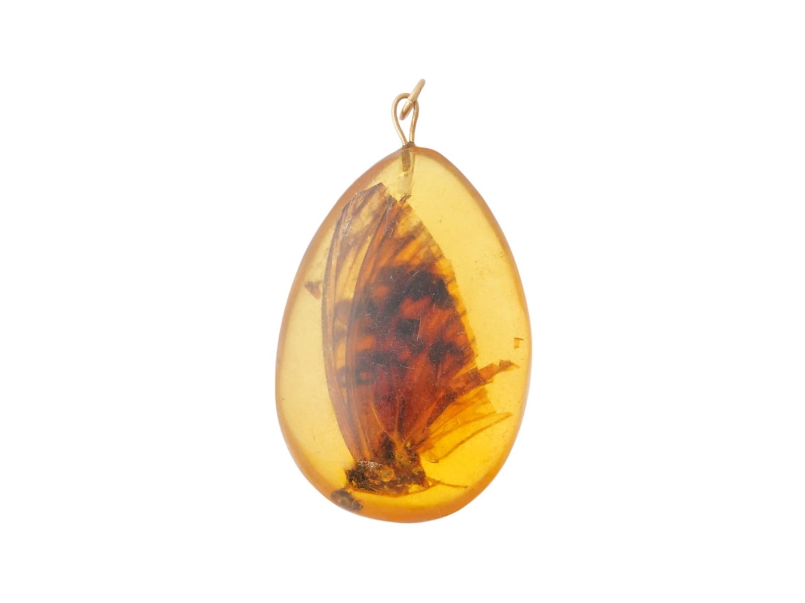 PRE HISTORIC AMBER PENDANT WITH BUTTERFLY INSECT (1 of 5)