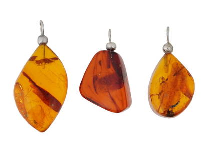 PREHISTORIC AMBER PENDANT OF THREE INSECT INCLUSIONS: A prehistoric amber pendant containing three distinct insect inclusions, a male ant, a scuttle fly, and a spider, dating to approximately 12 million years ago. This remarkable specimen preserves rare