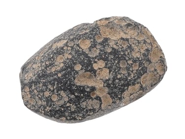 GLASS METEORITE SLAB SLICE LANDED IN MONGOLIA SPECIMEN