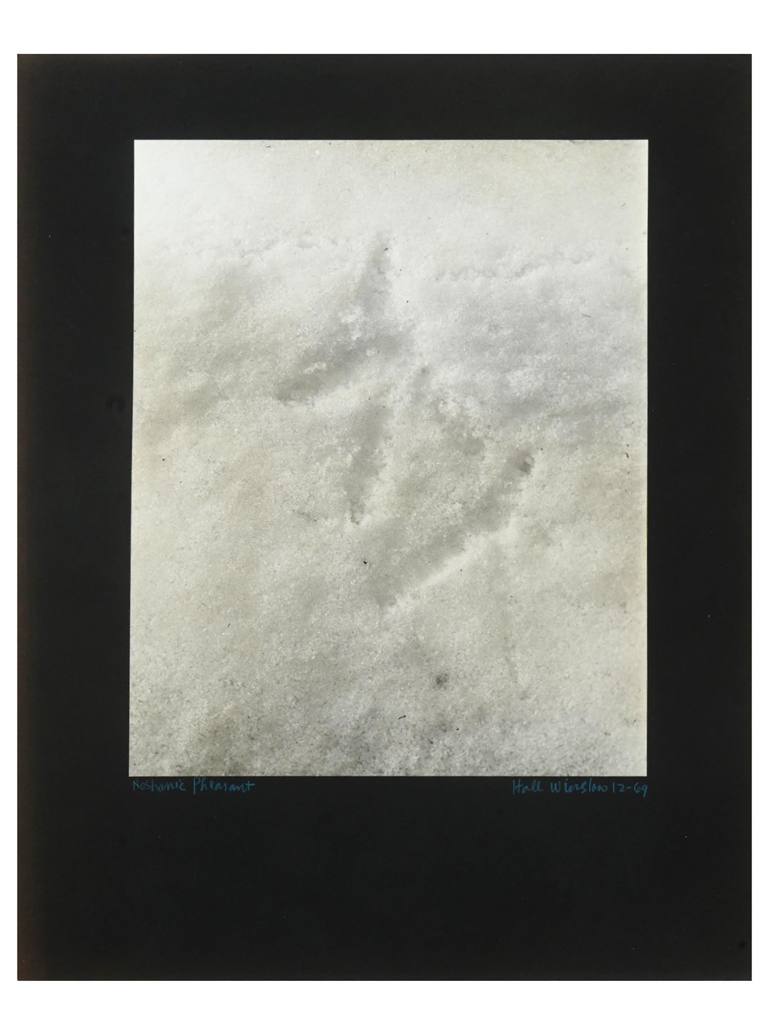 VINTAGE PHOTOGRAPH NESHANIC PHEASANT WINSLOW HALL: A vintage black and white photograph titled Neshanic Pheasant, capturing imprints upon pristine snow. With the inscription Winslow Hall 12-69 marking its origin and date. The black paper background se
