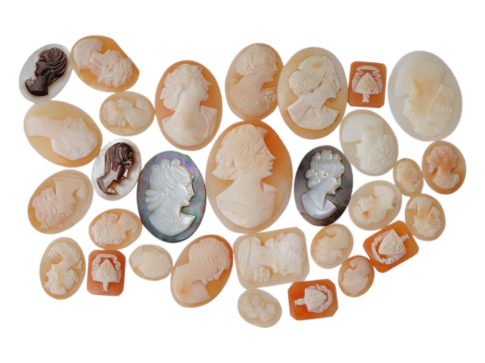 COLLECTION OF HAND CARVED SHELL CAMEO MEDALLIONS (1 of 3)