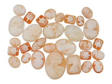 COLLECTION OF HAND CARVED SHELL CAMEO MEDALLIONS