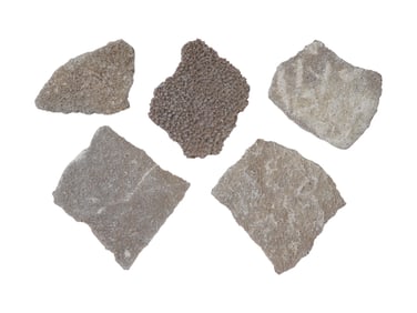 ANCIENT PREHISTORIC STEGOSAVRUS EGG SHELL FRAGMENTS