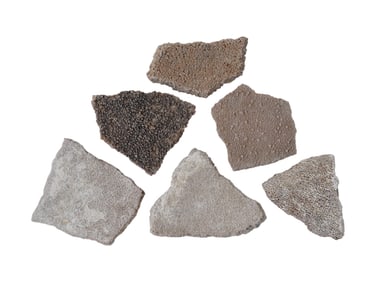 ANCIENT PREHISTORIC STEGOSAVRUS EGG SHELL FRAGMENTS