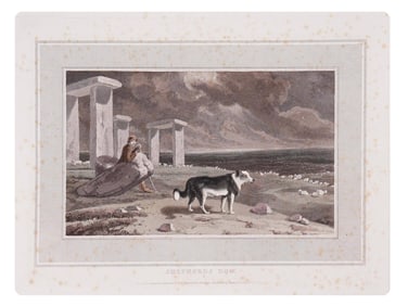 WILLIAM DANIELL ENGLISH COLOR ENGRAVING SHEPHERDS DOG