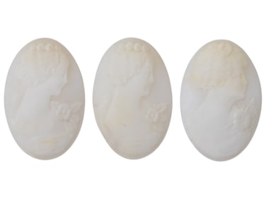COLLECTION OF PORTRAIT CARVED SHELL CAMEO MEDALLIONS