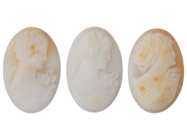 COLLECTION OF PORTRAIT CARVED SHELL CAMEO MEDALLIONS