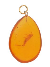 TEARDROP SHAPED AMBER PENDANT WITH PREHISTORIC CRICKET