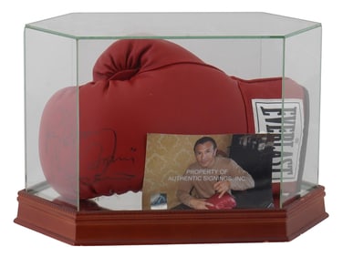 RAY MANCINI WBA CHAMPION SIGNED BOXING GLOVES